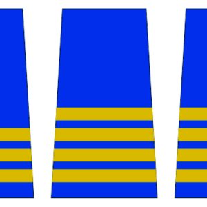 Epaulette Rubberized Stripes & Stars